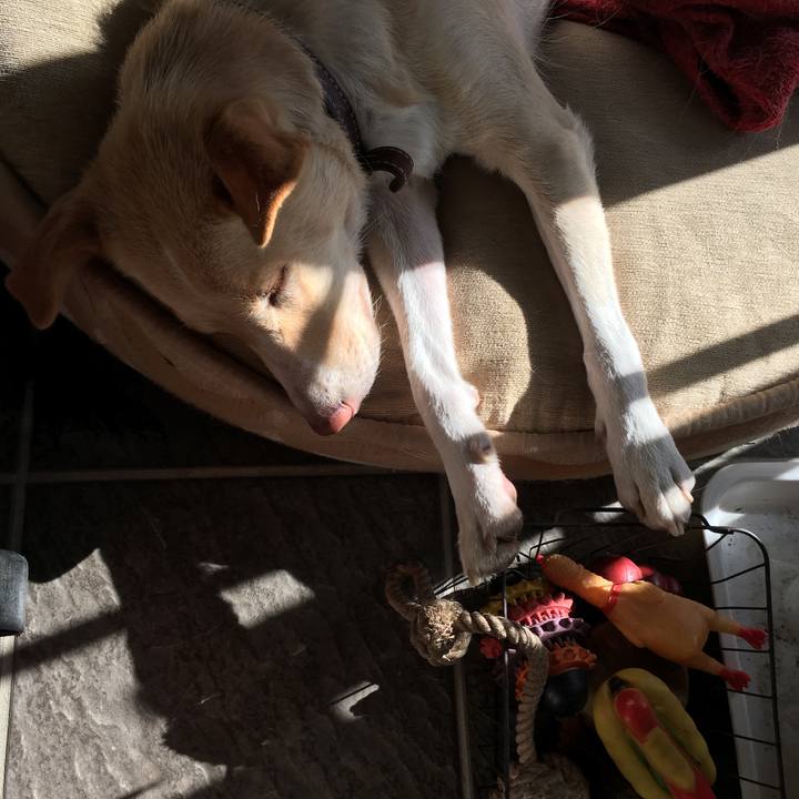 2982b7c5 45ef 477d 9289 250232c2579c 1511664421041