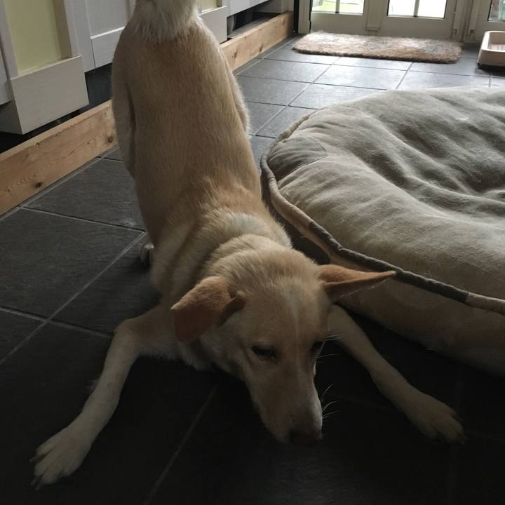 2982c6ef be6e 4127 b4aa a6f23bfab855 1531476831304