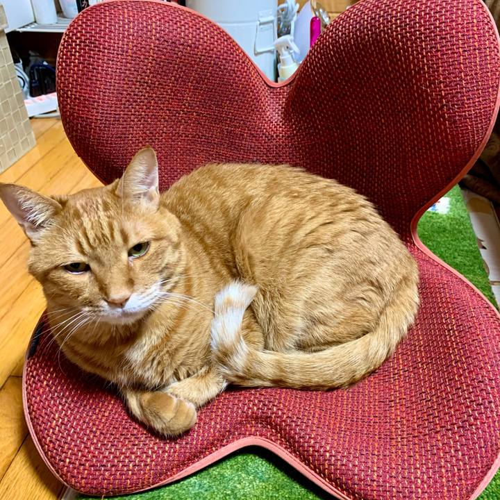 2982c973 3557 486a a866 0dc6f5b55645 1618192598551