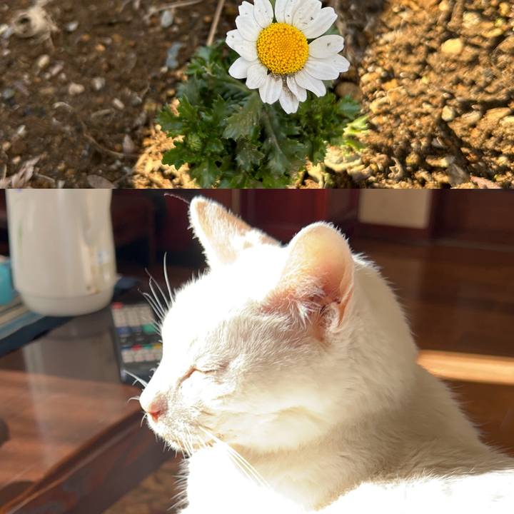 2982e1d3 c6bb 4a9a b016 b7eb2f8bbdbe 1709975018865