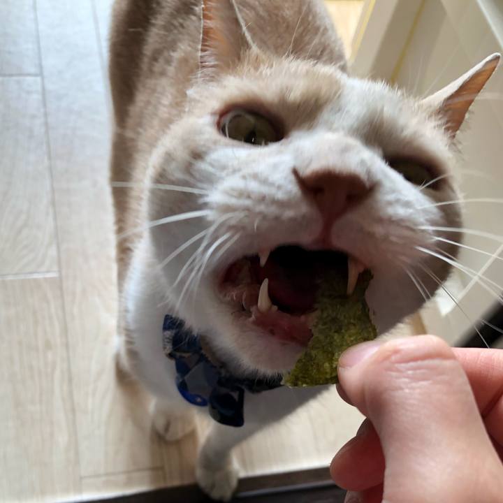 2982e3e3 9b69 4141 b8bd 1790367e23fe 1558065304769