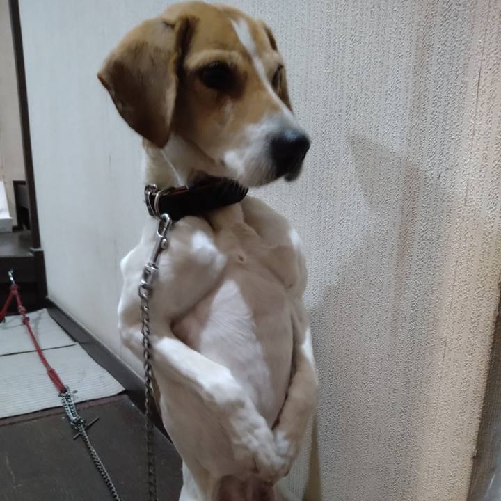 29831970 b7dd 4307 bb8f 3dfb54c3d7e2 1652344131982