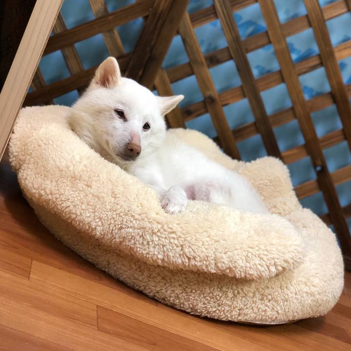 29831c00 c16b 490d 9791 1e569a3f1e15 1667291094503