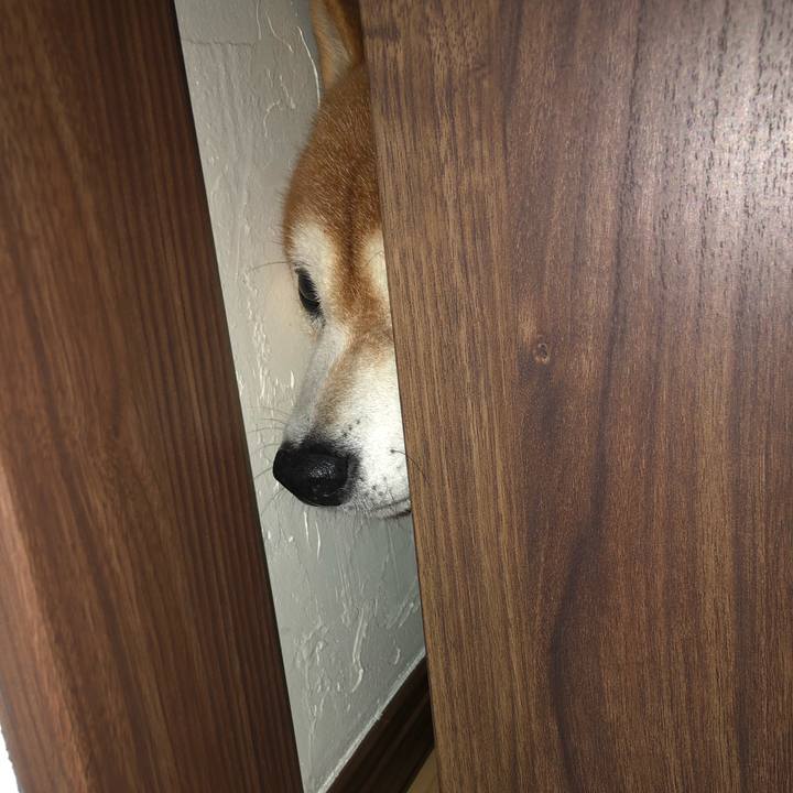 2983715b 7ae4 43b6 8a20 e6c296d35303 1571547375130