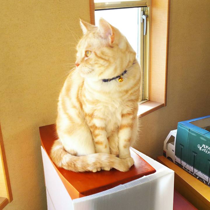 2983e588 6874 4765 8244 03f2e7c1bc73 1513730045723