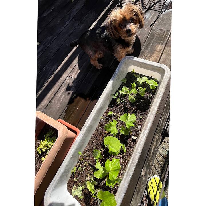 2983e63b 4baf 4197 98b8 75094c1317d9 1686011472956