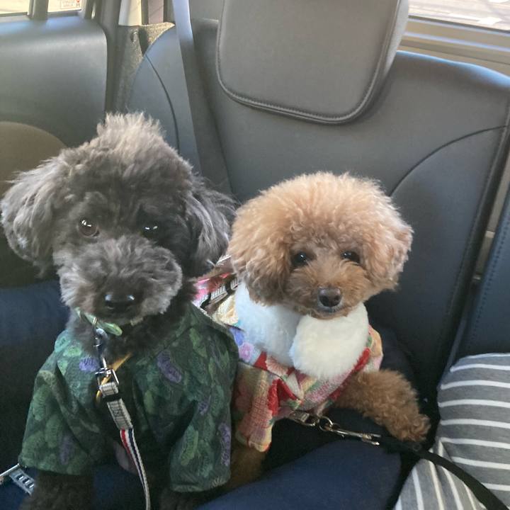 2983ed59 711e 4eed 8b3b 0a7532aa8726 1672890255570