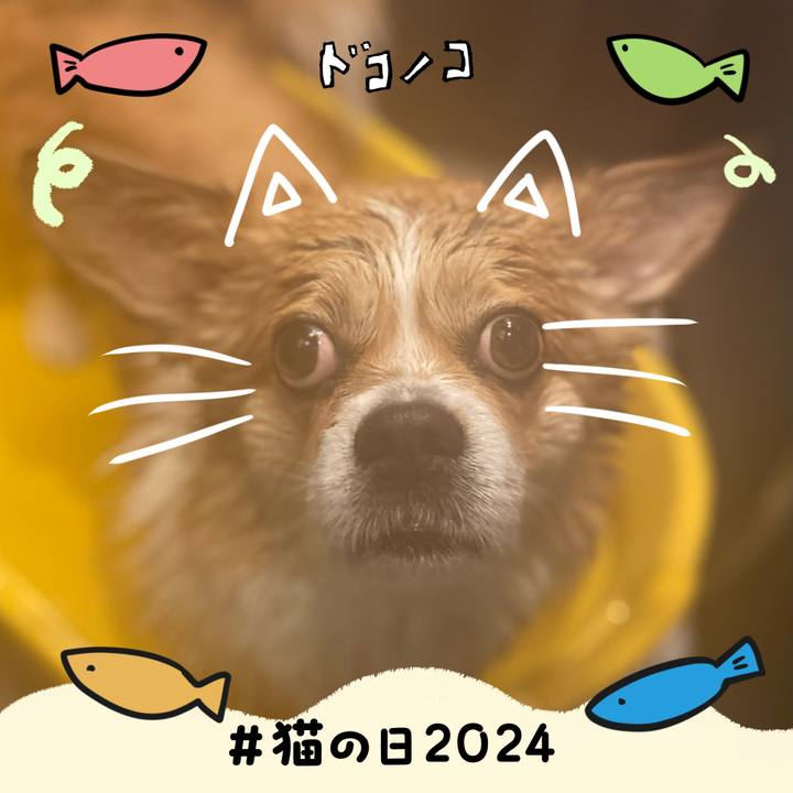 29841772 ce98 4d5f 89ec 7448b9ca6d61 1708576306961