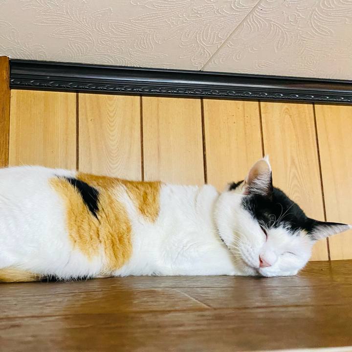 298453c0 5db7 4981 8738 5d43ded56eb3 1664062525911