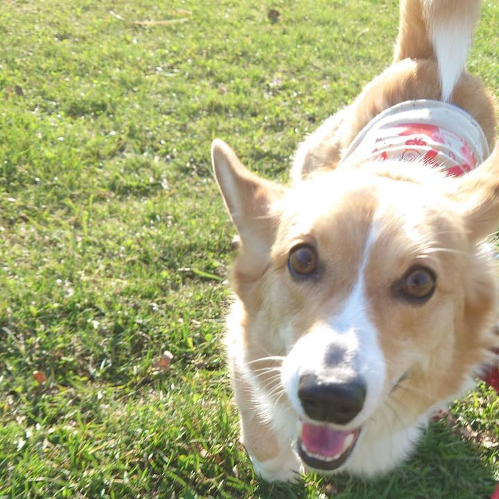 29845ed2 fca2 4c1c b1e5 748ceafae0fa 1776123790931