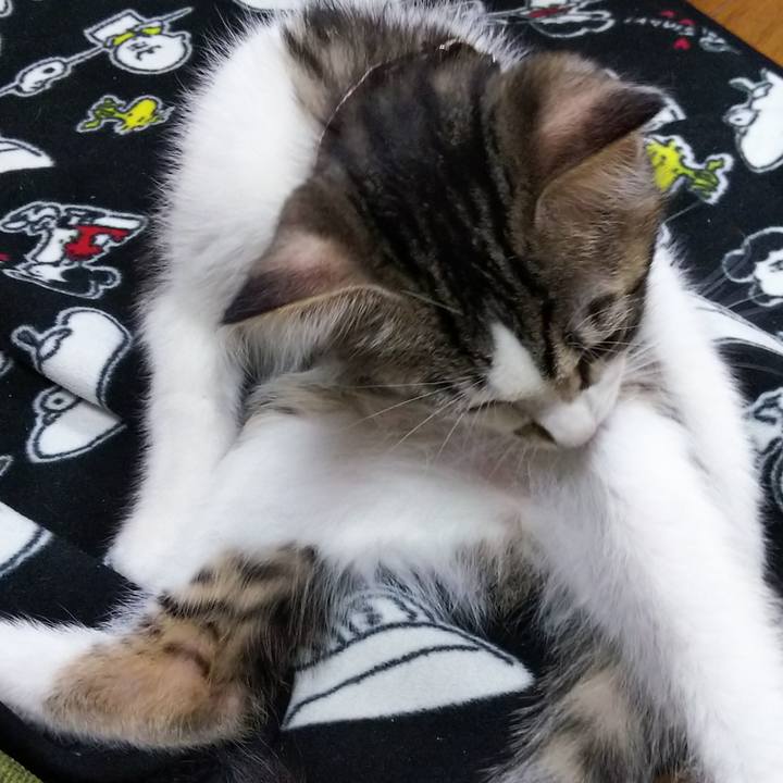 2984648c 0443 49ad 8c52 ee2fd6162938 1608443527751