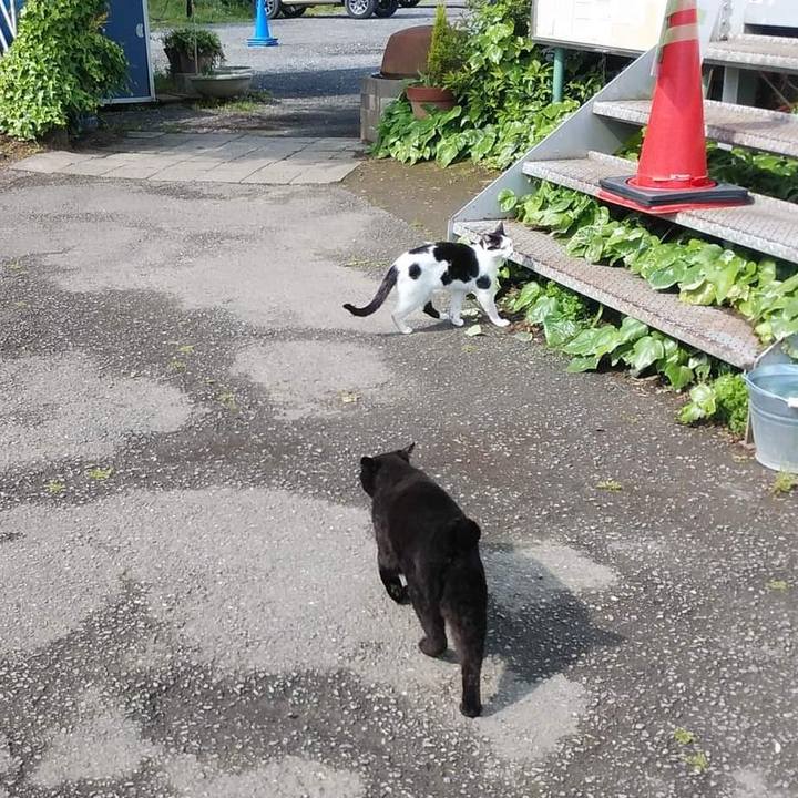 298480b1 bb1a 4392 b2ff 231ef364eb07 1652179031810