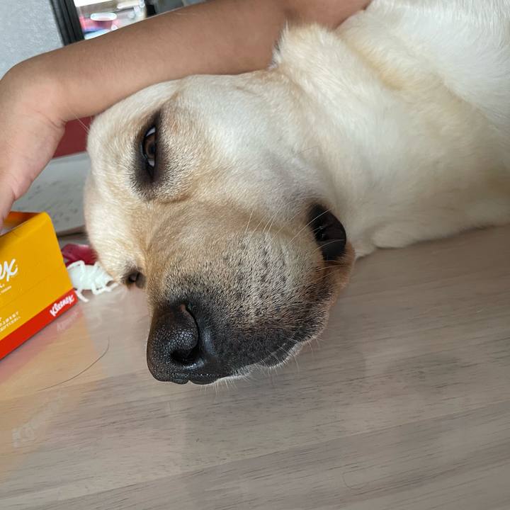 298494cf 371b 4eaf aaa7 c05010b38195 1657588737742