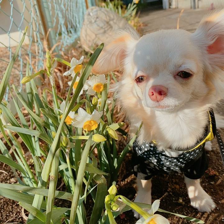 2984ae70 c7af 4952 be6b 4203cd0e7f1e 1612258757016