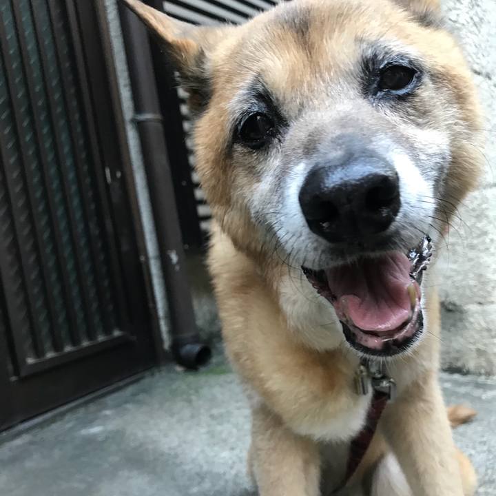 2984cc79 ea1b 421e 8cd7 93b95a23007f 1530435895565