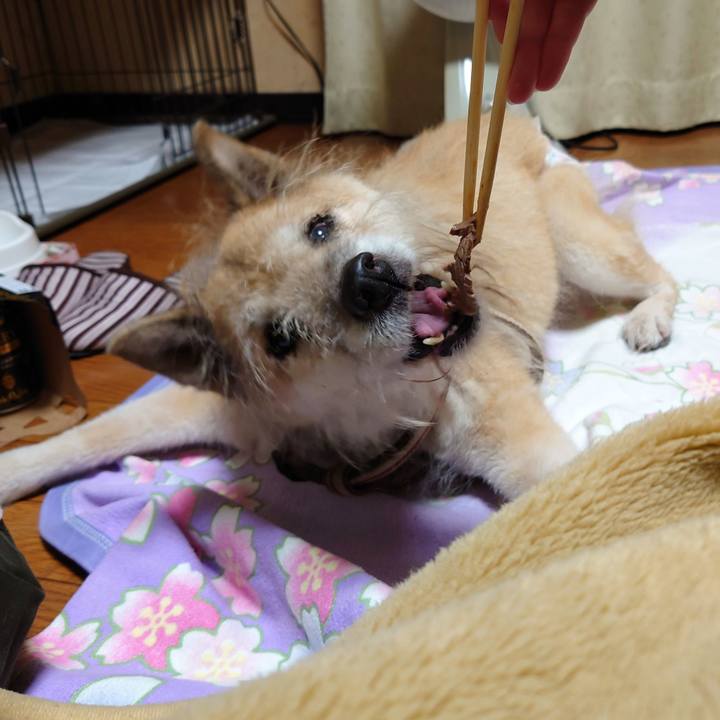 2984d282 33c9 46ff 8e56 ebf0470e7263 1640949724942