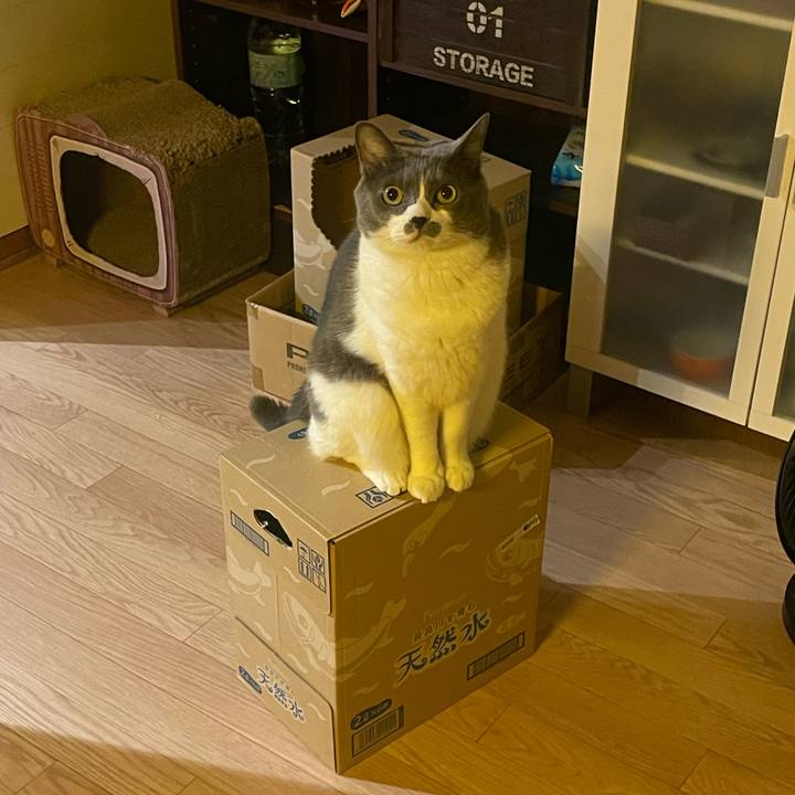 2985739a 6b3b 4cf4 b4d6 7fe434997941 1758023316606