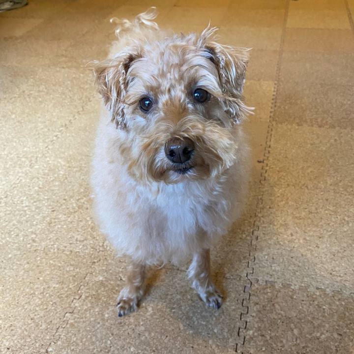 2985c939 2c7f 4cfa 8b61 f0dc543933b8 1667700402936