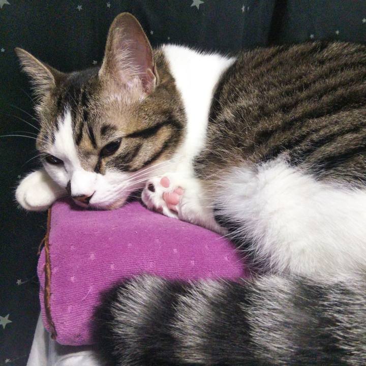 2985c97c d4f6 4673 8b37 fdbc2ebe60c9 1637458149357