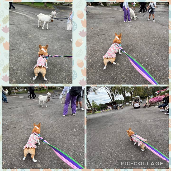 2986289d 5ec1 4029 96a2 206aed57aa49 1760345880989