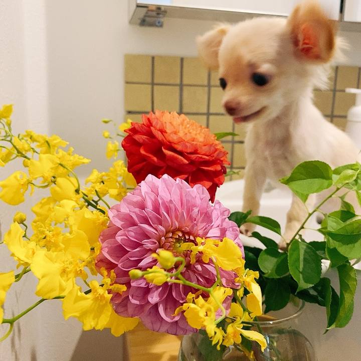 29862fea 32e4 4afe ad20 e1d8fe753035 1591333965705