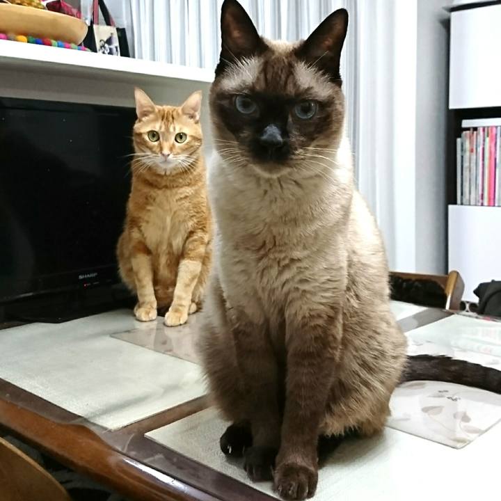 2986361a ee13 48ea 9bd3 0675cd4a53ac 1542622813213