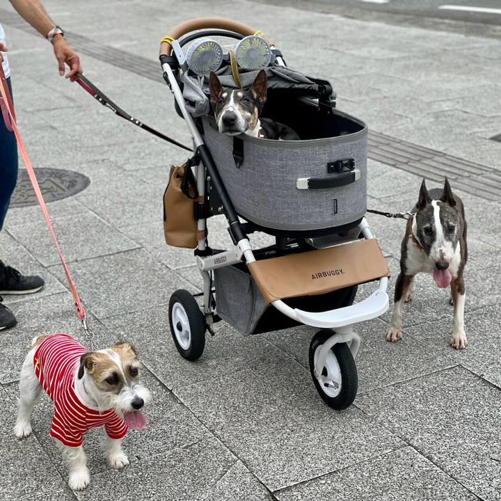 2986463c a690 435e 8bdc 8bf038053ddd 1625920931787