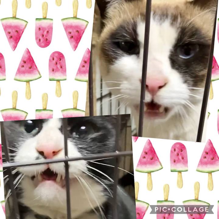 29865ced 81fb 4d2d bab6 735cd01edf04 1740656972191