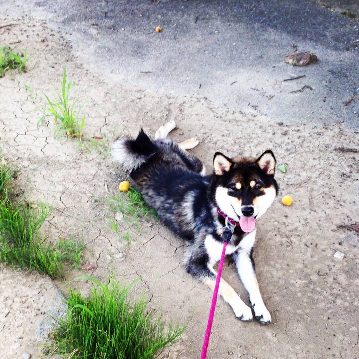 29867944 0388 40a2 bda2 de272ad20336 1530615794252