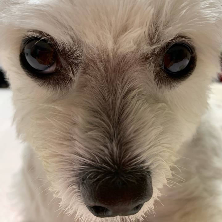 29869a61 e89b 49dc a8f7 4bfe4e94e73a 1632486675104