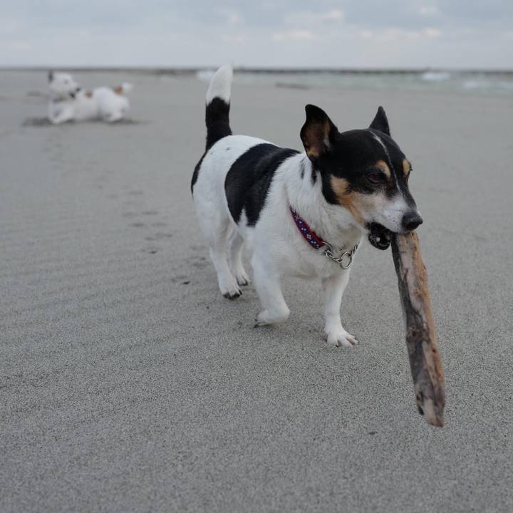 2986a8e8 a3bb 4187 9d77 f39a46176175 1667632613686