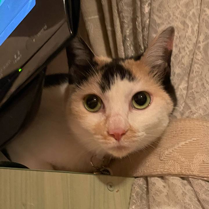 2986f298 11bd 44ed bb02 7732e215309d 1747837369431