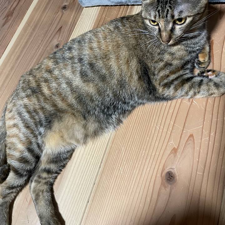 29874ccf eaf9 4c3e b975 5d3ad2dd4fe5 1757550279083