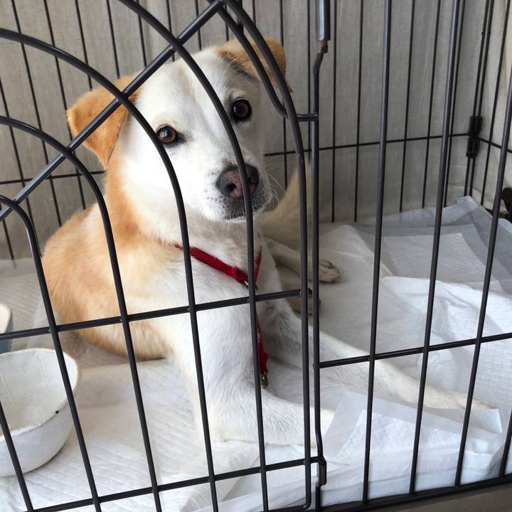 2987cf2a 9ad3 4953 ab61 bf11fee9aa4c 1623317376404