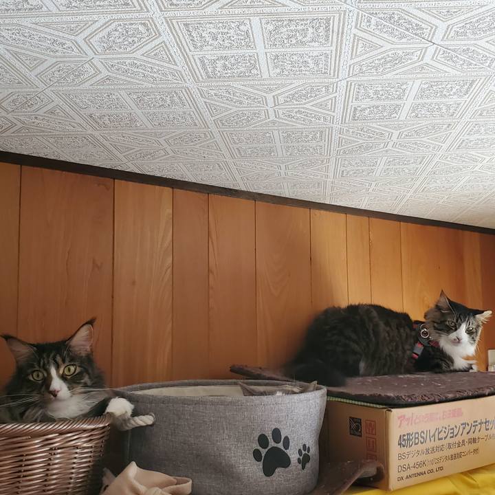 2988364a 9e97 4681 ac04 b3ae18d779e5 1735914895835