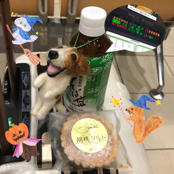 29885265 cda1 4813 9a57 83ab4d7c8afd 1572134952463