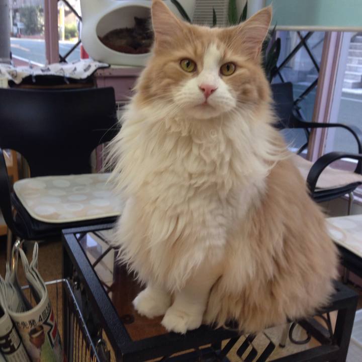 29886861 7a97 4d7e 8908 a187e23e1901 1521347760892