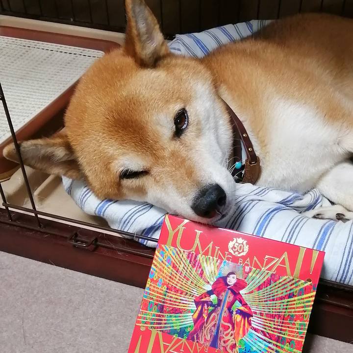 29886b14 6200 4179 b906 2caadd55e97b 1664936113598