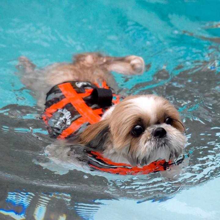 2988cf57 8c48 4d8e 8f4b f8df518081bd 1508264859125