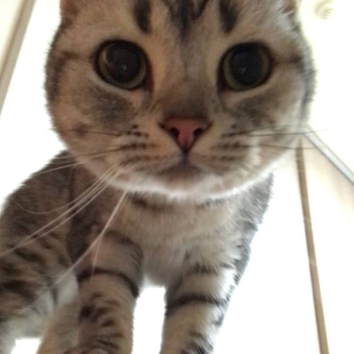 2988efb8 3372 4dc2 968b 6618d143d602 1515106882801