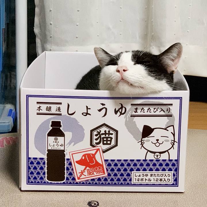 2989866d 16d9 4db4 b3ba d5975b8d39a1 1540865043033