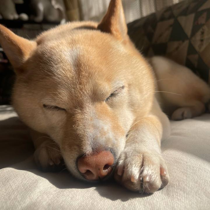 29899723 f73b 4ef6 8c4d a8796cef2dee 1675478012309