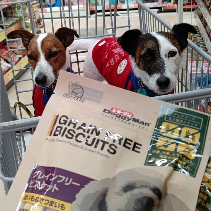 2989a632 5502 4e78 91b0 d27b4534ac55 1654951972213