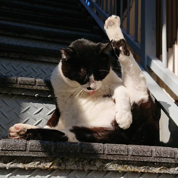 2989bc8a 8c19 4742 98b5 6ff43fd27c31 1541210370601