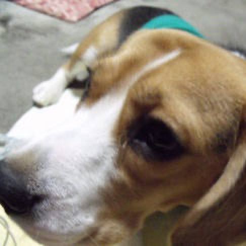 2989d56b f8d6 4cd2 a4a3 ebd7225590c6 1701389929971