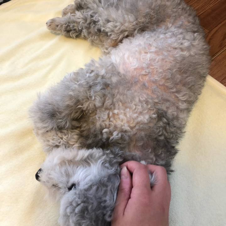 2989d5ad 7d00 4404 b94a 844cefc69a55 1526426936670