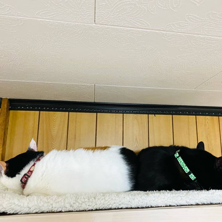 2989df89 d3e8 40b6 9116 352253df9dff 1672061788407