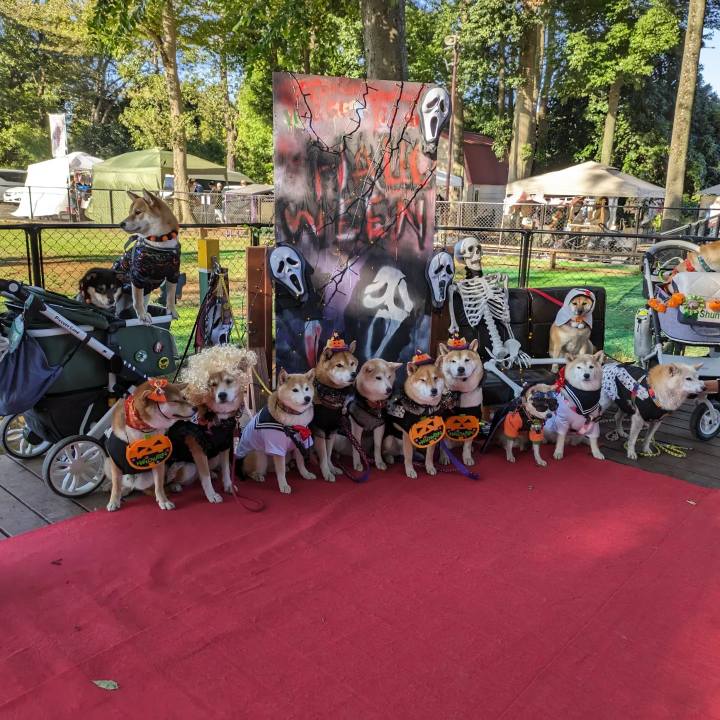 2989f17a 313d 4fb3 a4a1 859330df5567 1698711719550