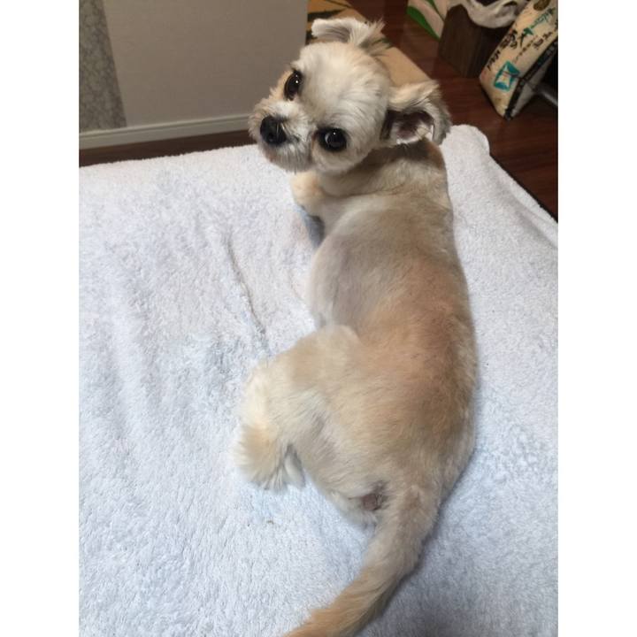 298a24c3 50bc 43a6 b89b fab7d3223f82 1540550311889