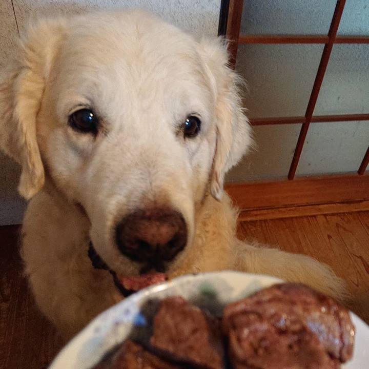 298a4022 25ff 43d0 a0ce 4634f2d49081 1597301274474